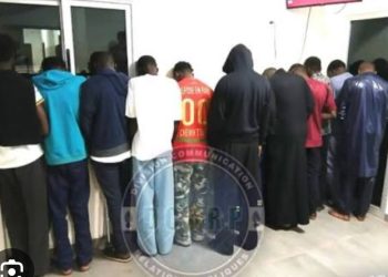 Pape Cheikh Diallo et cie : une sordide affaire découverte par la gendarmerie