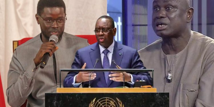 Seydi Gassama : « Les seules personnes que le Président Diomaye doit écouter, ce sont les victimes… »