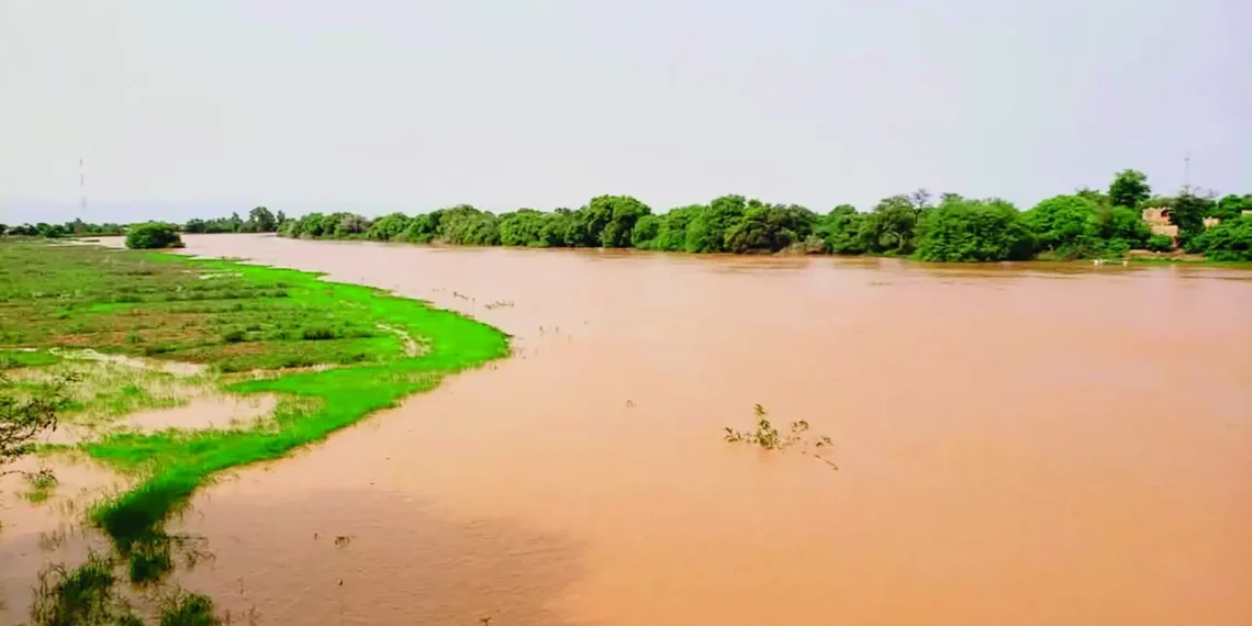 Guédé-Village : Quatre jeunes talibés périssent dans le chavirement d’une pirogue