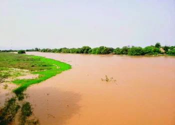 Guédé-Village : Quatre jeunes talibés périssent dans le chavirement d’une pirogue
