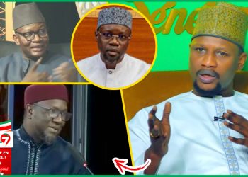 (Vidéo) « Me Moussa Diop Dagneko Wara Diapp Bou Démé, Cheikh Omar Diagne Xamoul Limou Beug » Cheikh Niasse