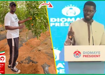 (Vidéo) « J’ai passé une bonne journée dans… » découvrez la sortie de SONKO après l’AG de la Coalition DIOMAYE