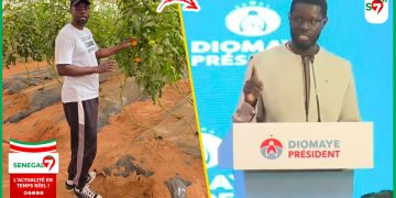 (Vidéo) « J’ai passé une bonne journée dans… » découvrez la sortie de SONKO après l’AG de la Coalition DIOMAYE