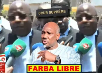 Farba Ngom libre : La réaction à chaud de ses avocats (Vidéo)