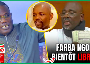 (Video) « Farba Ngom Semaine Prochaine Day Guéna… Menoko Diapp Bayi Tahirou Sarr… Yassine Fall Waroulwone… » révèle Bara Dolly