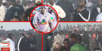 (Vidéo) – Echauffement : admirez la très belle forme de Modou Lo avant le combat royal…