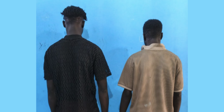 Banlieue dakaroise : deux voleurs de batteries de véhicules arrêtés