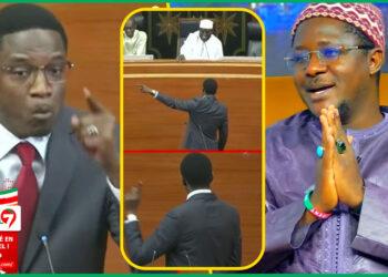 (Video) Cheikh Bara Ndiaye raille Pape Djibril Fall « Partem Bi Yeup Meune Nalène Servir Ataya… Dou Opposant… SONKO… »