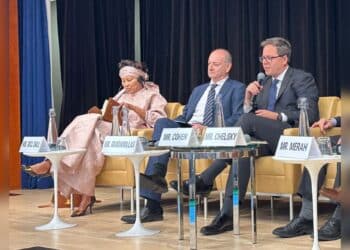 Assemblées Annuelles FMI – Banque Mondiale : Aïssata Tall Sall se dit honorée…