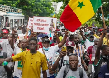 Seydi Gassama étale sa colère : « Les politiciens qui ont abandonné les familles des personnes tuées… »