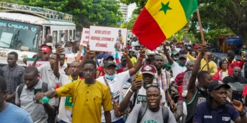 Seydi Gassama étale sa colère : « Les politiciens qui ont abandonné les familles des personnes tuées… »
