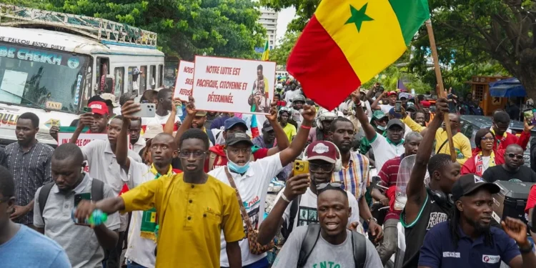 Seydi Gassama étale sa colère : « Les politiciens qui ont abandonné les familles des personnes tuées… »