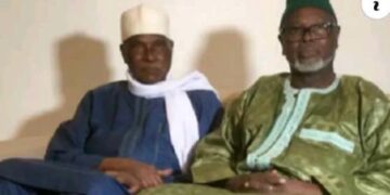 Centenaire de WADE : Alioune Tine rend hommage au leader panafricain