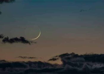 Tabaski 2026 :  La CONACOC annonce la date de l’Eid El Kabir