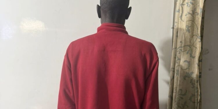 Ndorong : Un individu interpellé pour trafic de migrants