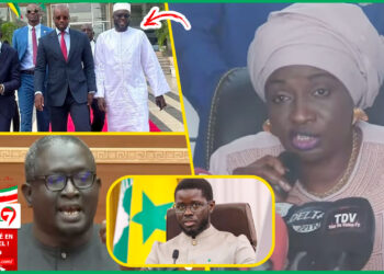 (Video) « Ils veulent défoncer une porte déjâ ouverte » Mimi Touré charge les députés de Pastef