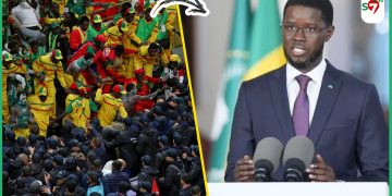 Adresse à la Nation – 18 Lions dans l&rsquo;oubli: Le silence qui accuse