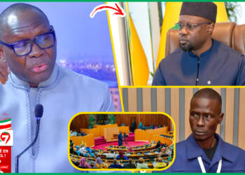 (Video) Modifications L29, L30: SESAG corrige Ndiaga Sylla « J&rsquo;ai L&rsquo;Impression Que Xamoul Droit.. SONKO Dafay… »