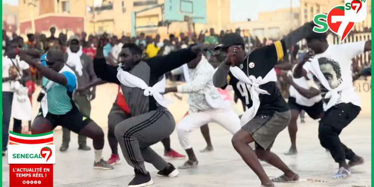 (Video) Open Press: decouvrez les premieres images du Bakkou de Sa Thies à quelques jours du combat royal contre Modou Lo