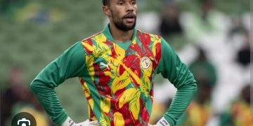 Yehvane Diouf :  » Il n’y avait pas meilleur moment pour débuter ici, devant ce public… »