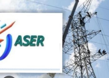 Soutien ferme à Seydou Kane et inquiétude grandissante pour l’investissement au pays: La Diaspora sénégalaise compte tenir un rassemblement