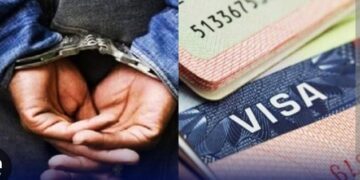 Saint-Louis : démantèlement d’un réseau d’escroquerie au visa, un individu déféré au parquet (Police)