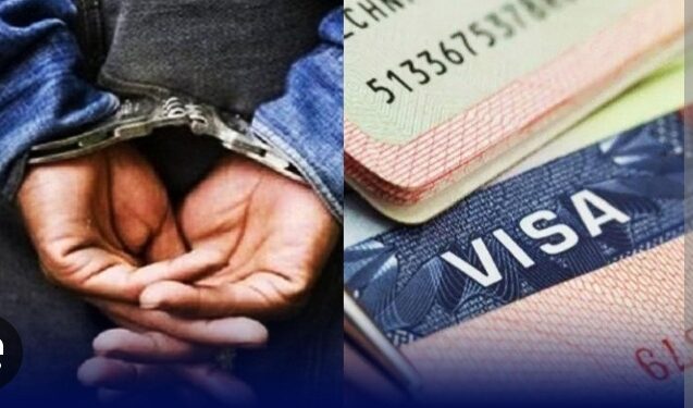 Saint-Louis : démantèlement d’un réseau d’escroquerie au visa, un individu déféré au parquet (Police)