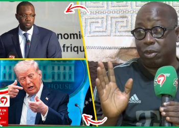 (Video) L’analyse pertinente de Alassane Samba Diop sur les propos d’Ousmane Sonko envers Donald Trump