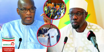 « La loi votée par Pastef c&rsquo;est pour régler le problème de la candidature de Sonko » Révèle Thierno Lo (Vidéo)