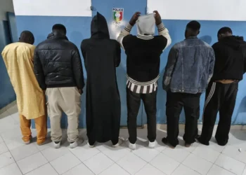 Saint-Louis : six individus arrêtés pour abattage clandestin