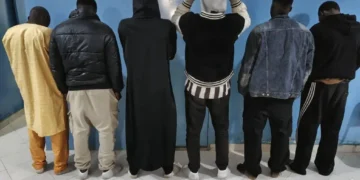 Saint-Louis : six individus arrêtés pour abattage clandestin