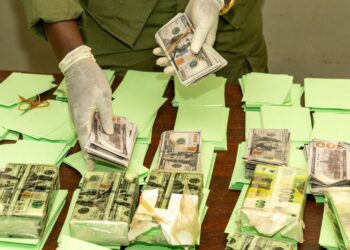 Thiaroye Azur : les Douanes saisissent plus de 6 milliards FCFA en faux billets