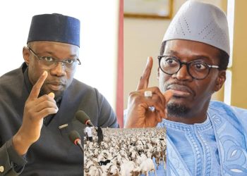 Mesures annoncées par Sonko pour les moutons de Tabaski : « Elles ne sont pas une innovation majeure », selon Mamadou Kassé