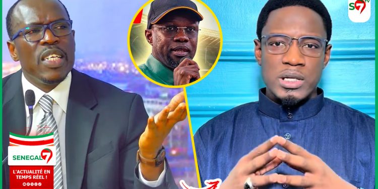 (Video) « Nafekh Bou Melni Pape Djibril Fall, C’Est L’Incarnation Du Yambar SONKO Motakh Mou Existé » Nitdoff