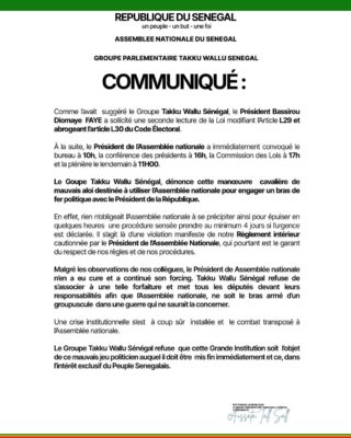 Seconde lecture des articles L29 et L30 - Plénière : Takku Wallu brise le silence !