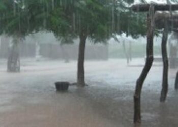 Matam : une pluie hors saison surprend les habitants de Salalatou