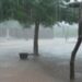 Matam : une pluie hors saison surprend les habitants de Salalatou