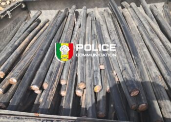 Mbour : un présumé voleur de câbles télécoms arrêté