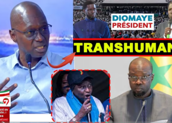 (Vidéo) – Bocar Ndiongue brocarde Cheikh Issa Sall : « Il a choisi le très mauvais camp… »
