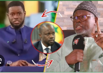 Promulgation des art L29 et L30 : « Diomaye prend acte de la cohabitation douce », selon Alioune Tine