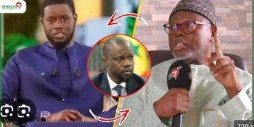 Promulgation des art L29 et L30 : « Diomaye prend acte de la cohabitation douce », selon Alioune Tine