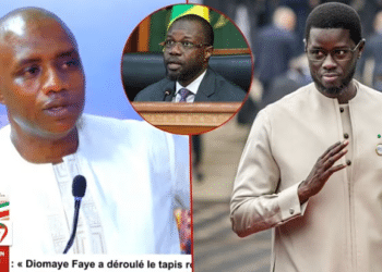 (Vidéo) – Guéguerre Diomaye Vs Sonko : Yoro Dia balance des infos des tailles…