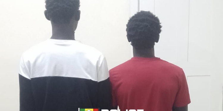 Diamaguène Sicap Mbao : deux présumés voleurs interpellés
