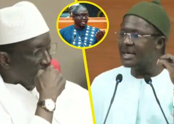 « So Absenté Dañ Lay Dak… » Cheikh Bara raille Amadou Bâ & prend le contre-pied de Ayib Daffé (Vidéo)