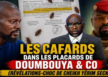Les cafards dans les placards de Doumbouya & co (Révélations-choc de Cheikh Yérim Seck) (Vidéo)