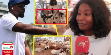 Coumba de la bergerie Serigne Saliou « Kharou Sonko Mo Ndiek Diar, Diomaye ak Macky… » (Vidéo)
