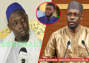 Sonko limogé : Réaction à chaud de Dr Serigne Modou B. Dieng « Tak Na Sama Valise Pour… » (Vidéo)
