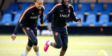 Coupe du Monde 2026 : les Oranje privés de plusieurs cadres