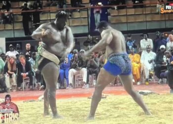 Lamb : Gris 2 bat Moussa Ndoye par avertissement !