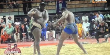 Lamb : Gris 2 bat Moussa Ndoye par avertissement !